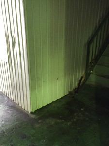 不用品を整理した後の階段